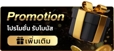 โปรโมชั่น รับโบนัส